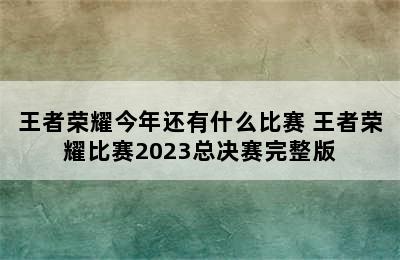 王者荣耀今年还有什么比赛 王者荣耀比赛2023总决赛完整版